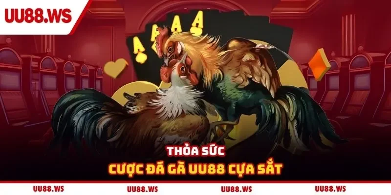 Thỏa sức cược đá gà UU88 cựa sắt