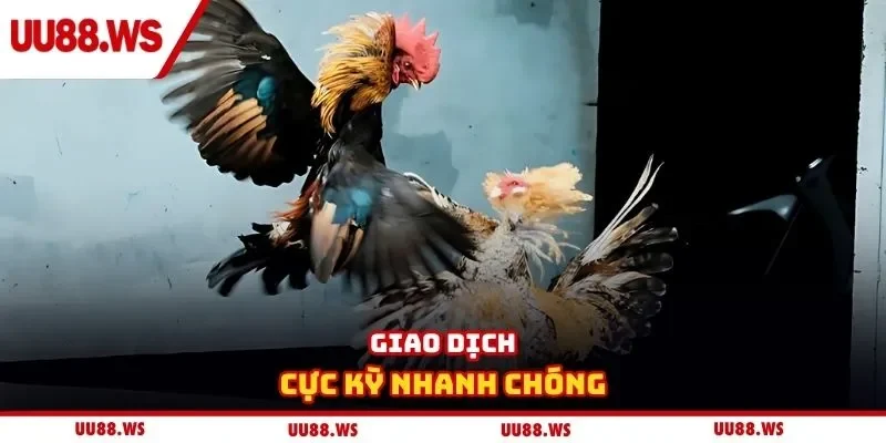 Giao dịch cực kỳ nhanh chóng