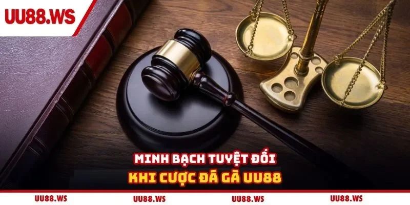 Minh bạch tuyệt đối khi cược đá gà UU88