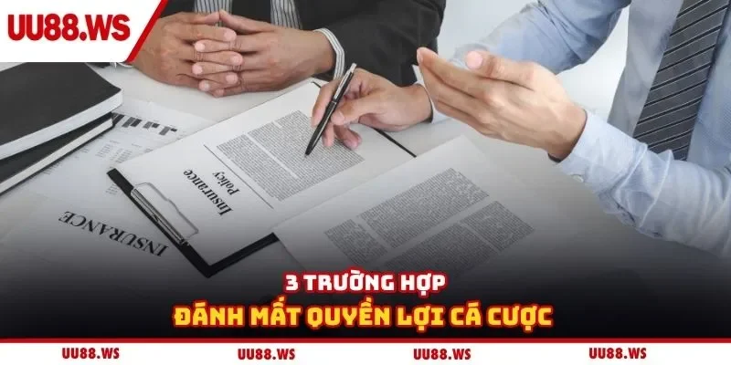 3 trường hợp đánh mất quyền lợi cá cược 