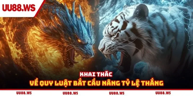 Khai thác về quy luật bắt cầu nâng tỷ lệ thắng