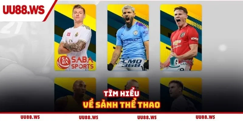Tìm hiểu về sảnh thể thao