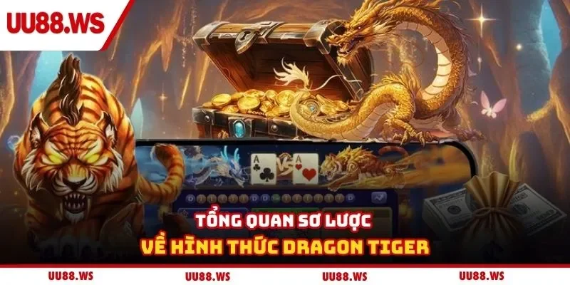 Tổng quan sơ lược về hình thức dragon tiger